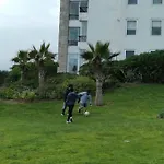 Serena Golf